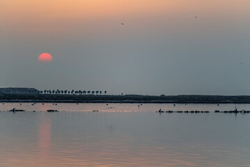 Amanecer con aves bañándose en unas salinas