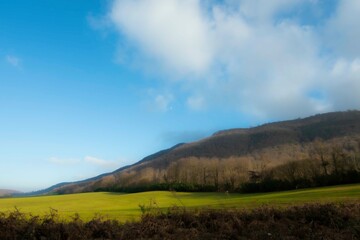 Monte Artemisio, Pratoni del Vivaro