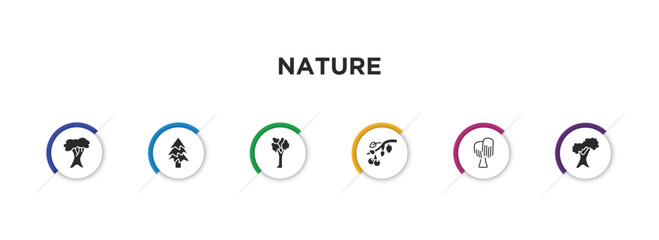 nature filled icons with infographic template. glyph icons such as white oak tree, balsam fir tree, american elm tree, black cherry black willow northern red oak vector. - obrazy, fototapety, plakaty