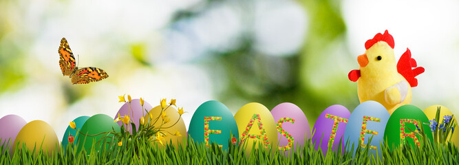 Chicken, easter eggs on the background of grass and sunny  spring landscape