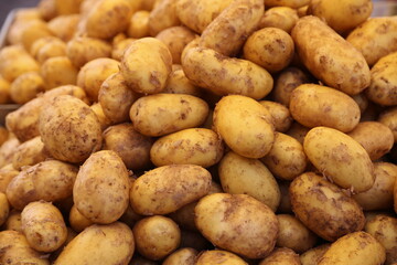 close up of potatoes