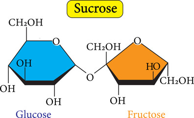 Sucrose or saccharose is a disaccharide composed of glucose and fructose  - obrazy, fototapety, plakaty