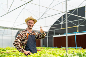 Owner of the hydroponics vegetable garden is checking the quality of the vegetables and checking or recording the growth of the vegetables in the garden, Vegetables in the greenhouse.