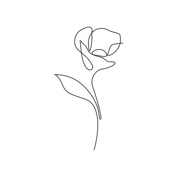 Continuous line drawing of flower