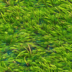 green grass background