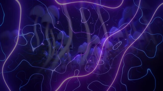 Psychedelic dreams magic mushrooms trip