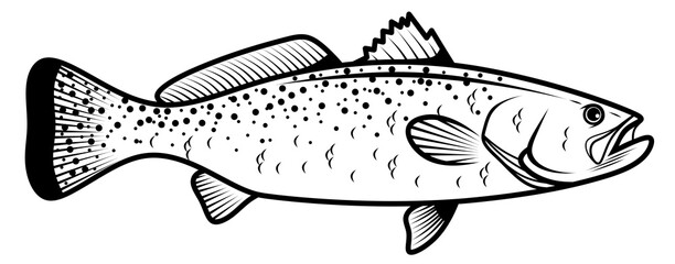 Salmon. Drawn rainbow trout. Fishing shop logo. Black and white fish. Seafood.