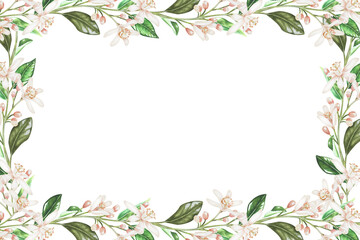 Rectangular frame of small branches of flowers. White buds of citrus. Place for inscription or text. Watercolor illustration.Isolated on a white background. For your design stickers, napkins, cards