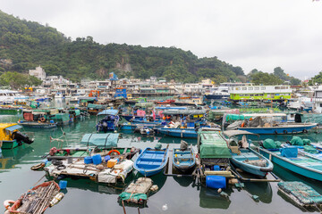 Obraz premium Typhoon Shelter in Lei yue Mun