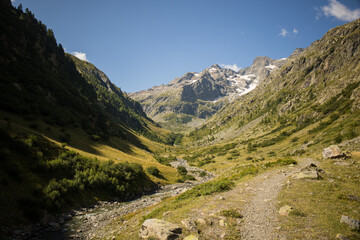 Fototapeta na wymiar Hiking trail and alpine stream