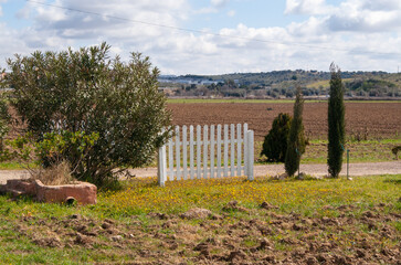 Valla blanca de madera, con arbustos y flores amarillas.