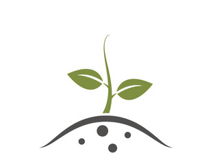 Obraz na płótnie Canvas Growing sprout icon. plant sprouted, seedling and planting symbol