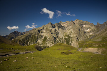 alpine prairie and the range