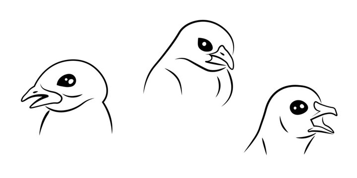 Chicken farm bird heads set collection. Isolated vector illustration. Chinese calendar 1993, 2005, 2017, 2029, 2041.