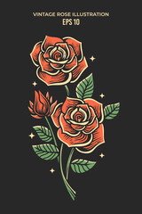 hand drawn vintage roses illustration