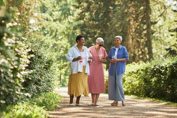 Naklejka na ściany i meble Group of cheerful senior women walking towards camera in park and enjoying summer