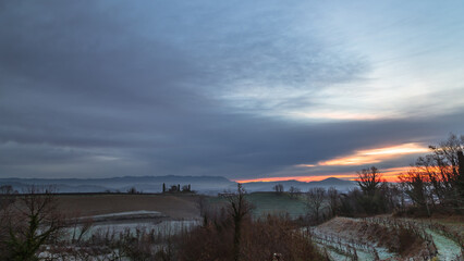 Cold misty morning in the vineyards of Italy