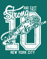College New York typography, t-shirt graphics, vectors