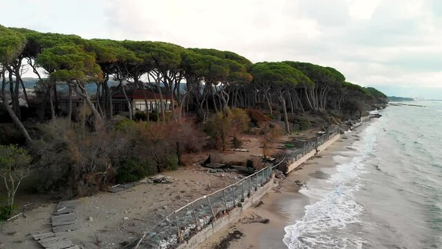 Aerial view of pinewood along seaside after a serious storm