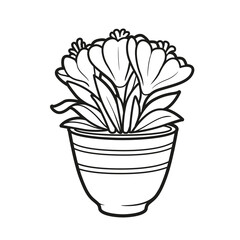 Crocus flowers grow in a pot coloring book linear drawing isolated on white background