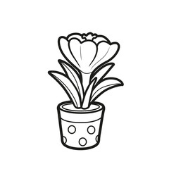 Crocus flower grow in a small pot coloring book linear drawing isolated on white background