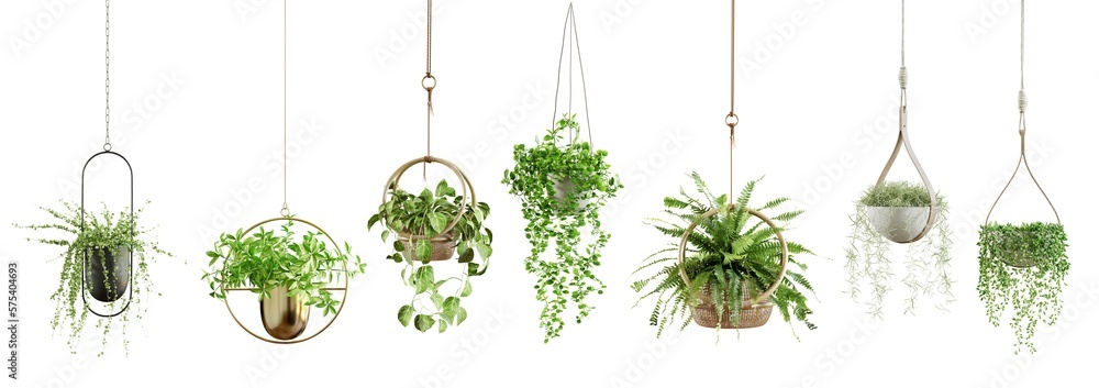 Poster collection of beautiful plants hanging in various pots isolated on transparent background. 3d render