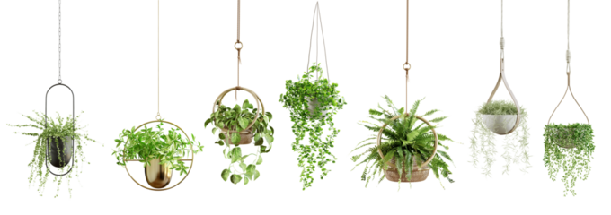 Collection of beautiful plants hanging in various pots isolated on transparent background. 3D render.