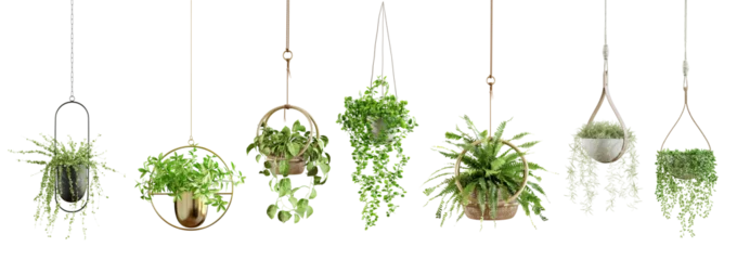 Abwaschbare Fototapete Collection of beautiful plants hanging in various pots isolated on transparent background. 3D render. © schab