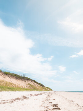 Summer Beach on the Cape Cod National Seashore, Massachusetts