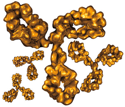 orange gold bioscience antibody isolated on white