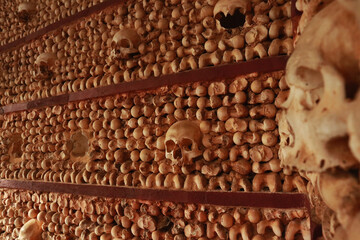 Old bones and skull made a wall
