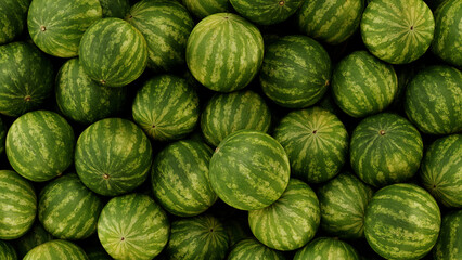 3D render of watermelons, green background