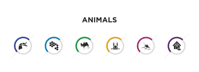 animals filled icons with infographic template. glyph icons such as hornbill, bee hive, camel facing left, bunny, fishes in the ocean, doghouse vector. © IconArt