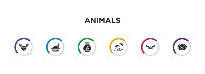 animals filled icons with infographic template. glyph icons such as chihuahua, litter box, terrarium, dolphins, trap, dog head vector.