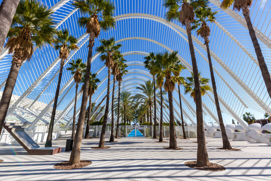 Ciutat de les Arts i les Ciencies with L&rsquo;Umbracle building modern architecture by Santiago Calatrava in Valencia, Spain