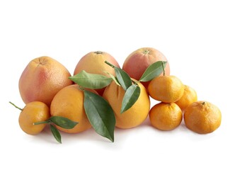 delicious citrus fruits isolated close up