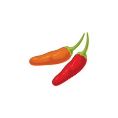 Tabasco peppem,  Hot peppers. Capsicum annuum. Whole pepper tabasco. Vector illustration isolated on white background. For template label, packing, web, menu, logo, textile, icon