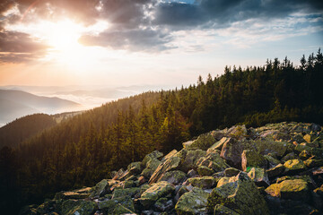 A peaceful view of distant mountain ranges in morning light. Carpathian mountains, Ukraine.