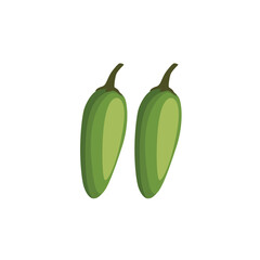 Jalapena. Green jalapeno pepper. Raw jalapeno hot green chilies. Hot green chilli pepper. Mexican spice. Vector illustration isolated on white background. For template label, packing, web, menu, icon