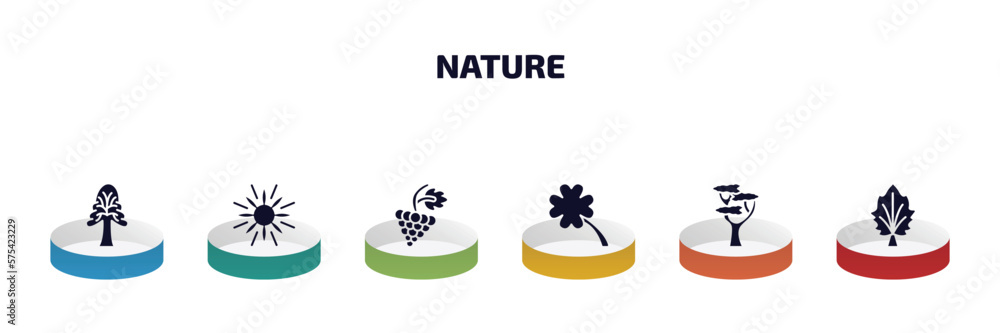 Poster nature infographic element with filled icons and 6 step or option. nature icons such as the oaks tre