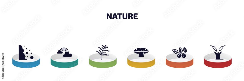 Aufkleber nature infographic element with filled icons and 6 step or option. nature icons such as falling debr