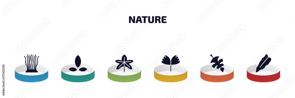 Poster nature infographic element with filled icons and 6 step or option. nature icons such as fasciculate,