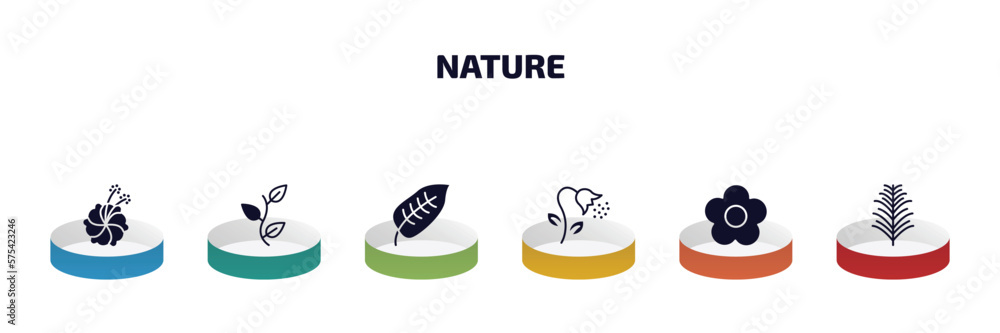 Poster nature infographic element with filled icons and 6 step or option. nature icons such as hibiscus, pe