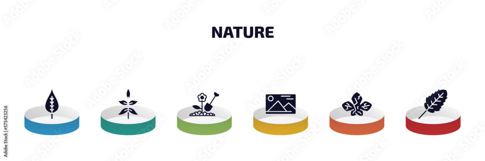 Poster nature infographic element with filled icons and 6 step or option. nature icons such as poplar leaf,