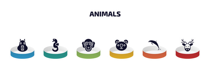 animals infographic element with filled icons and 6 step or option. animals icons such as capybara, seahorse, chimpanzee, koala, dolphin jumping, moose vector.
