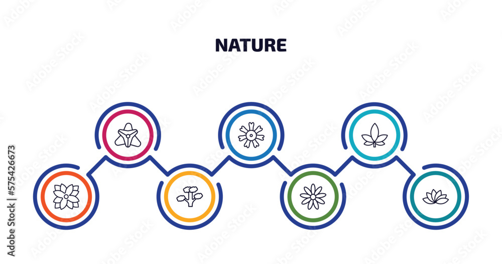 Poster nature infographic element with outline icons and 7 step or option. nature icons such as gladiolus, 