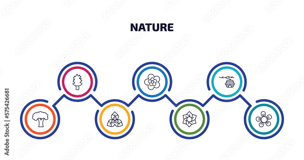 Poster nature infographic element with outline icons and 7 step or option. nature icons such as cucumber tr