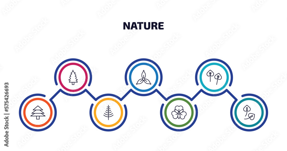 Poster nature infographic element with outline icons and 7 step or option. nature icons such as eastern red