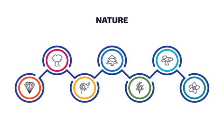 nature infographic element with outline icons and 7 step or option. nature icons such as pin cherry tree, balsam fir tree, shadbush tree, gemstone, dandelion, willow, narcissus vector.