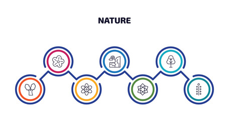 nature infographic element with outline icons and 7 step or option. nature icons such as petunia, cliff, birch, eastern cottonwood tree, freesia, clematis, mimosa vector.